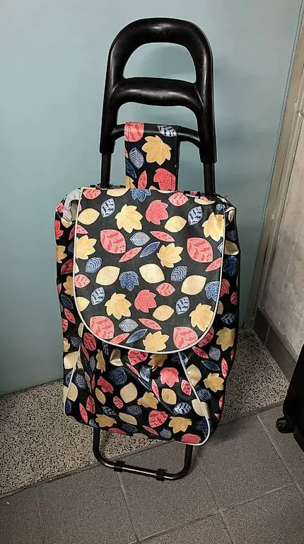 Carrello/trolley spesa con ruote