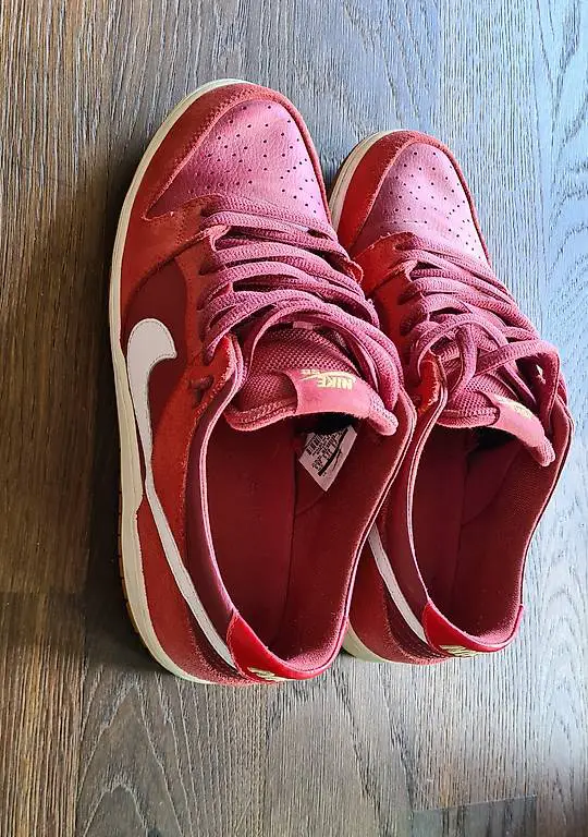 Nike SB Zoom Dunk Low Pro - track red EU44.5/US10.5