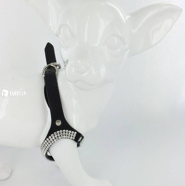  F+M Geschirr EIGHT schwarz für Chihuahua, Gr.S