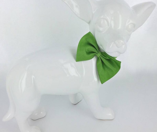  F+M Fliege für Chihuahua