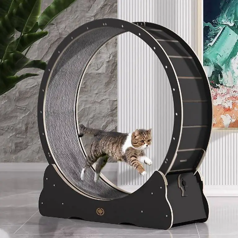 Katzen Laufrad - Bausatz L - Ø 1m