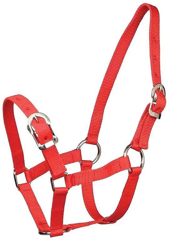 Ponyhalfter Nylonhalfter ROT von ZILCO