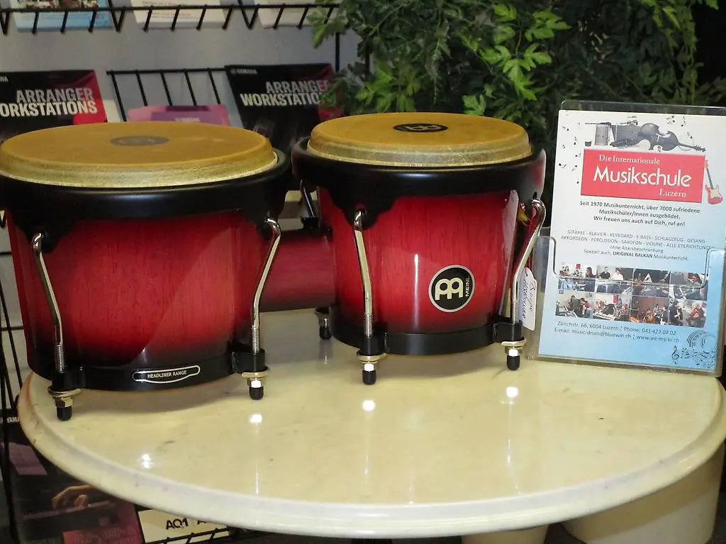 bongo fabrikneu, guter sound schöne optik, qualität
