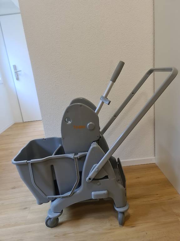 Reinigung Wagen Taski