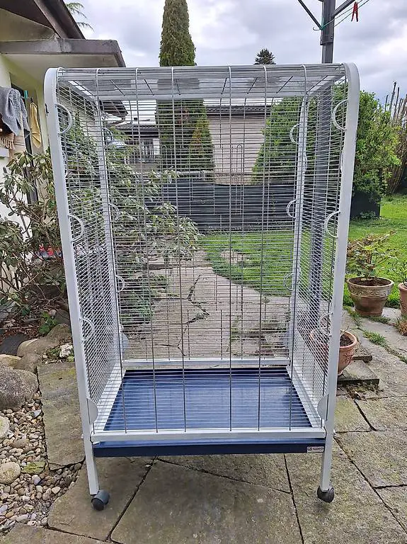 Voliere gratis abzugeben