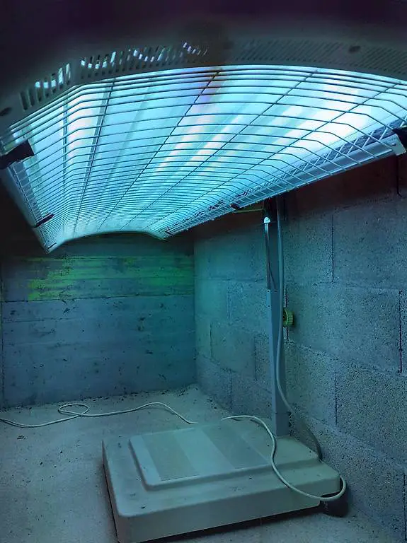 Solarium Marke Philips