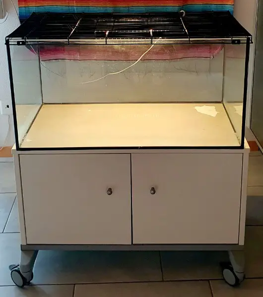 Terrarium mit Gitterabdeckung