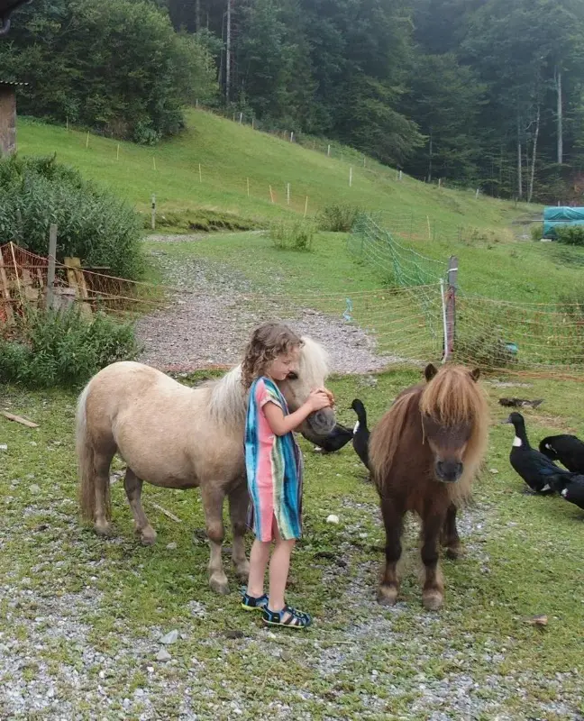 Mini-Shettys Haribo und Maharadscha