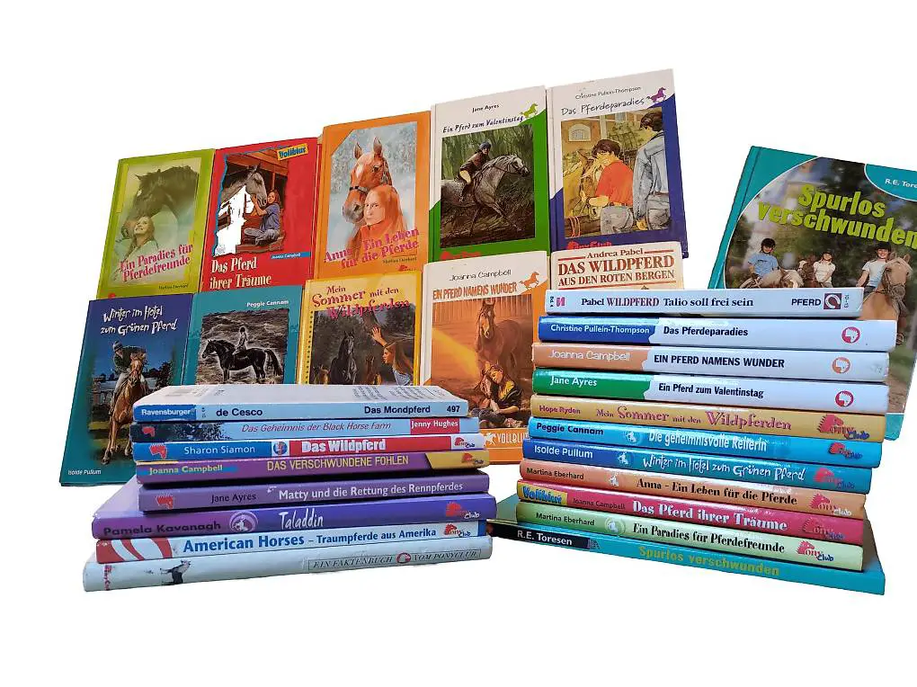 17 x Pony Club Pferde Buch Kinderbuch Bücher Ross Abenteuer