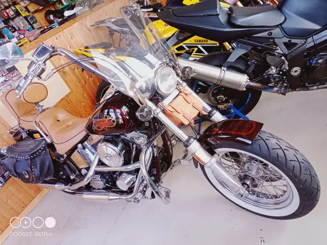 harley-davidson fxstc 1340 softail custom