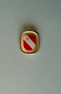 Ansteck-Abzeichen von Thun