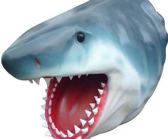  Hai Kopf 107 x 140 x 130cm ca.