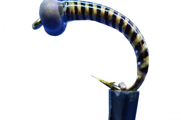  IA35 Egligambe, Hegene Egli, Barsch, ramsey