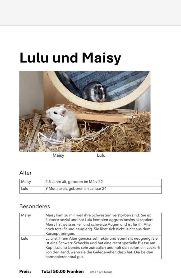 Rennmaus Weibchen Lulu und Maisy