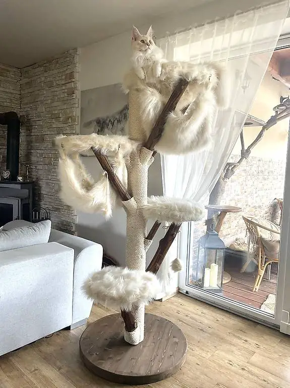 Professioneller Naturholz Katzenbaum top Handwerk