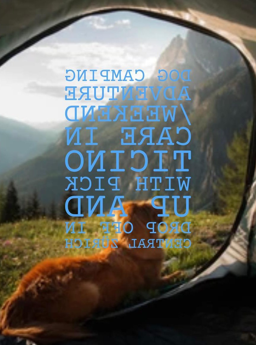 Hunde Camping Abenteuer / Wochenendbetreuung im Tessin