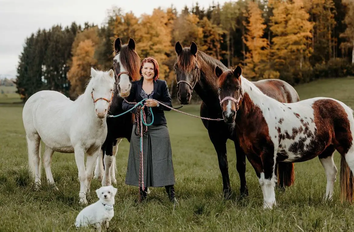 Stall zum mieten/pachten gesucht für Pferde/Ponys