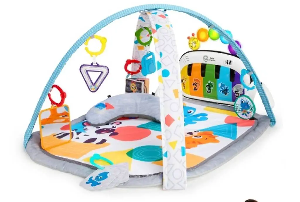 Baby Einstein 4-in-1 Spieldecke mit Spielbogen