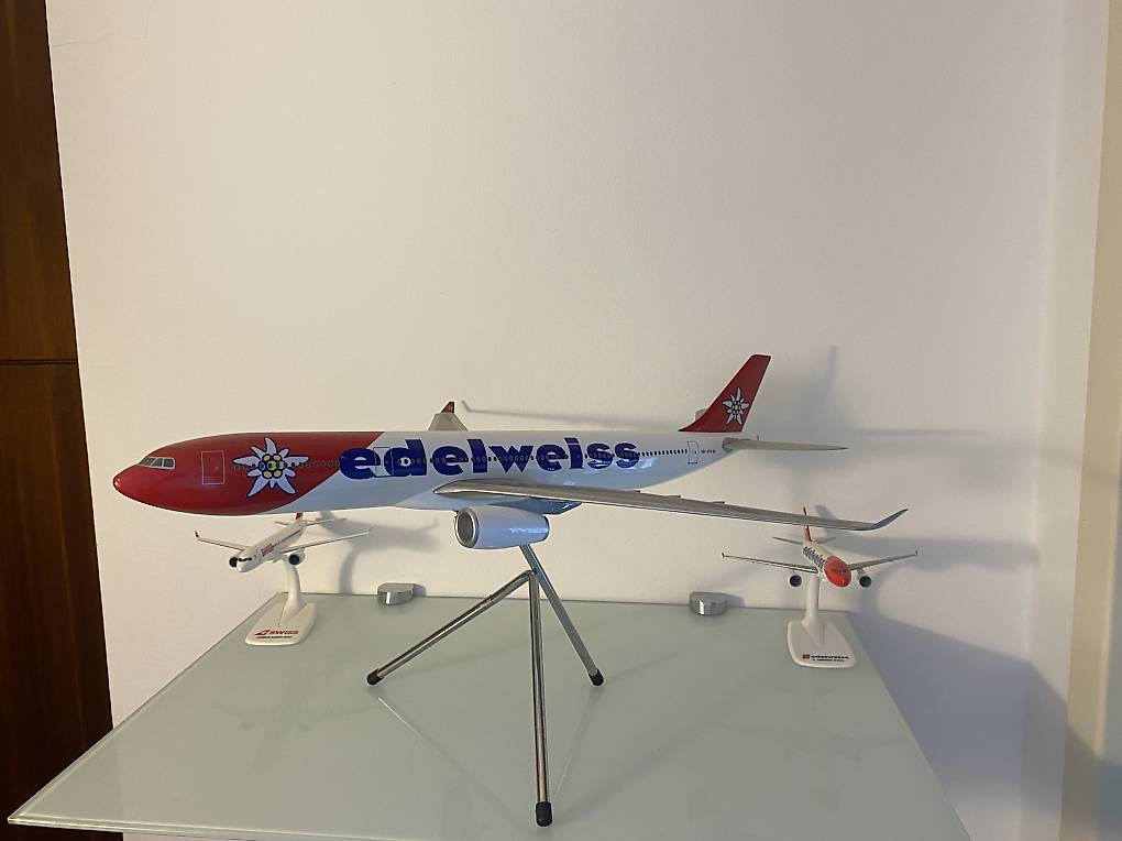 Edelweiss in metallo