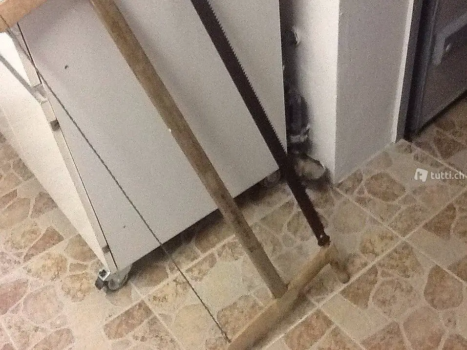 Holzsäge/Bürdelisäge