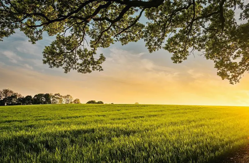 Pony oder Kleinpferd auf Zeit GESUCHT, Kauf oder ans Futter