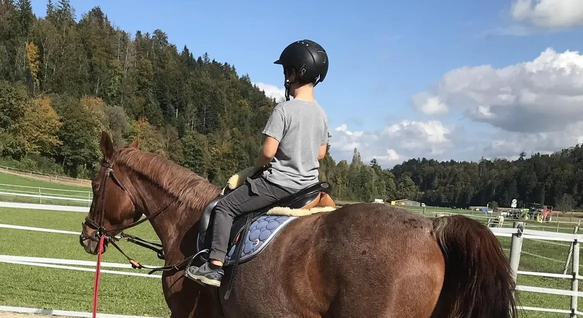 Abwechslungsreiches Praktikum mit Pferden bei Schötz LU