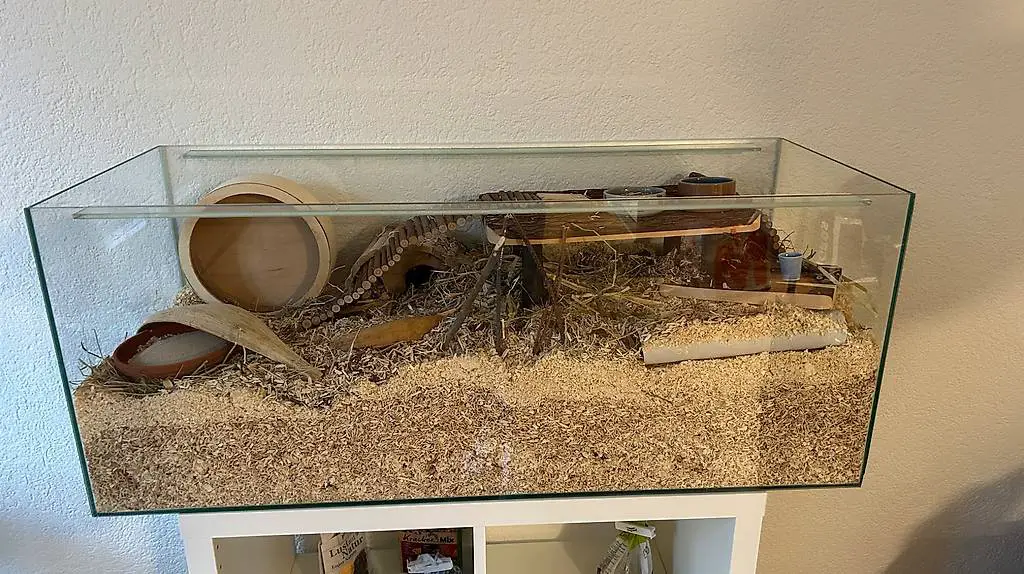 Hamster Terrarium inkl. Zubehör