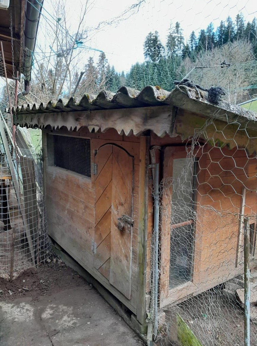 GRATIS: Hühner-/Entenhaus gebraucht, jedoch schon 2 Jahre leer
