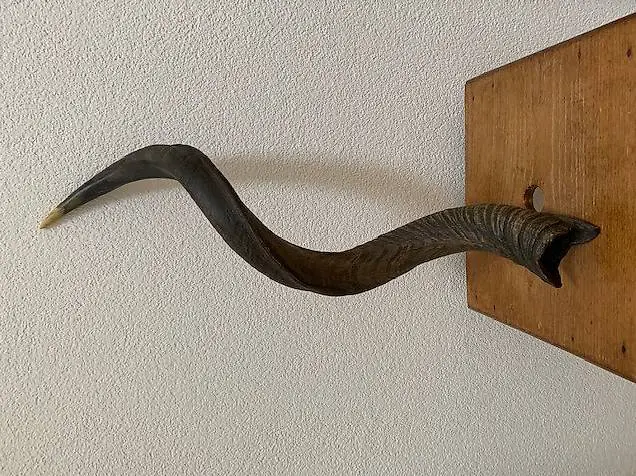 Horn aus Kunststoff