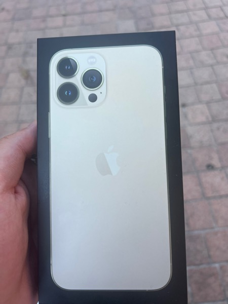 iPhone 13 Pro Max 256 Gold