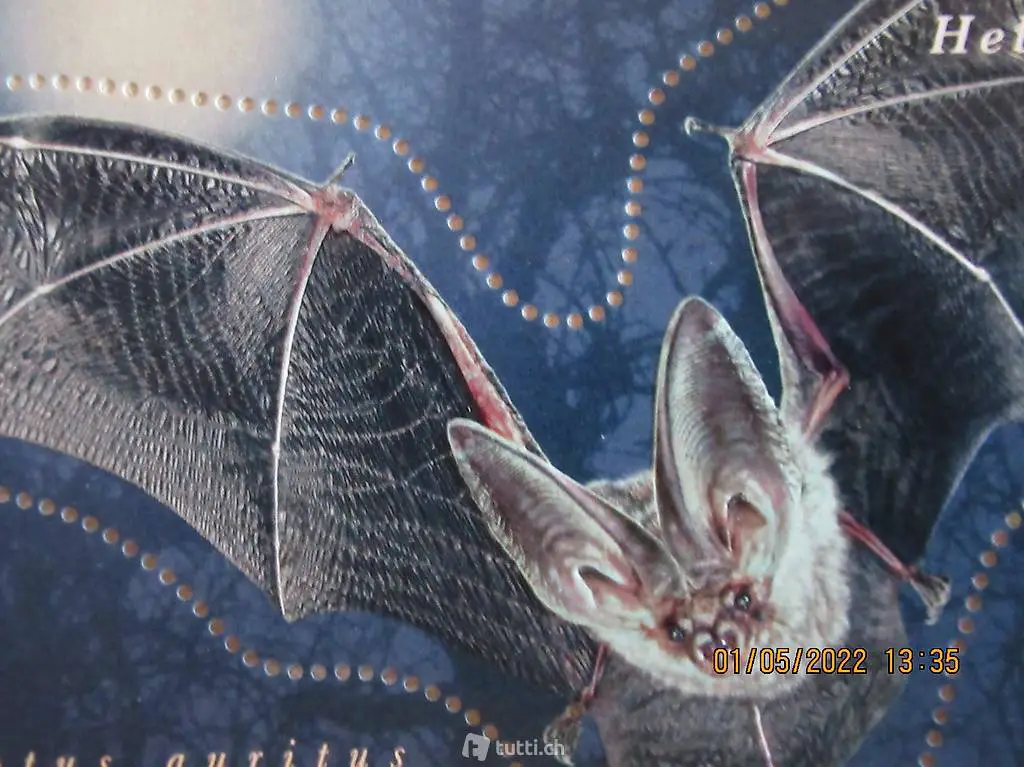 Sondermarke, Sonderblock, Fledermaus, PLECOTUS AURITUS