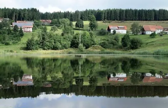 Top Pferde Plätze wie in der Natur – Exzellente Pflege in Südschwarzwald