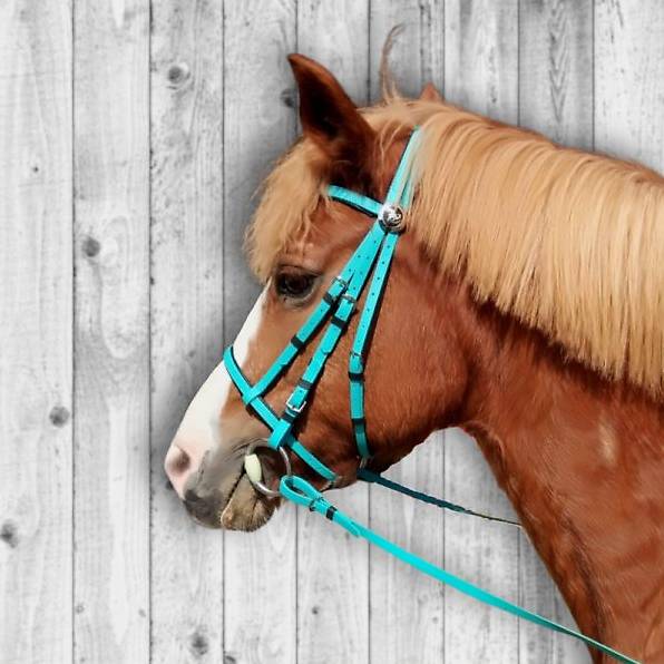 Türkis Kunststoff Pferdezaum
