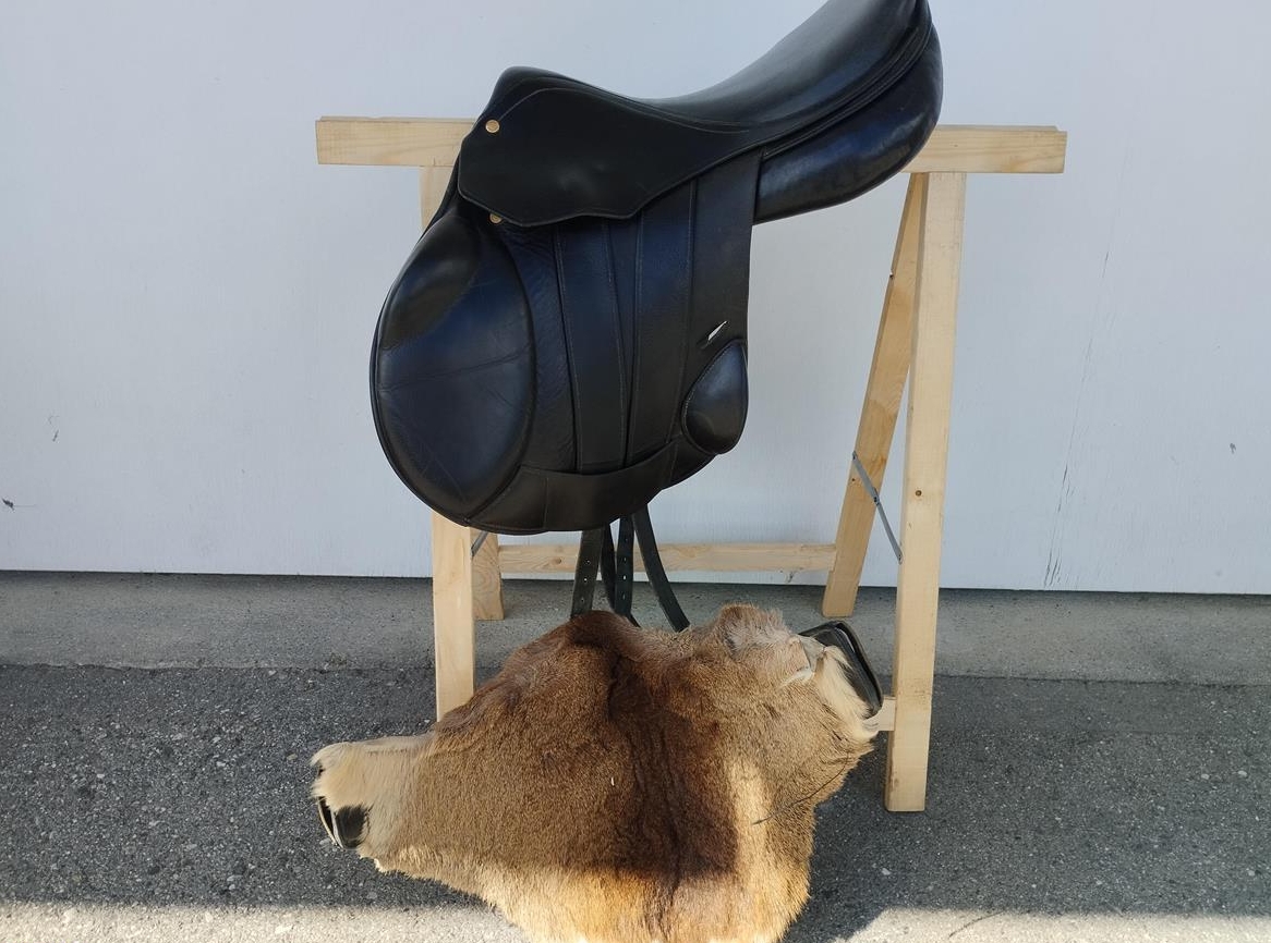 Spring Springsattel 17 Zoll und Kurzgurte