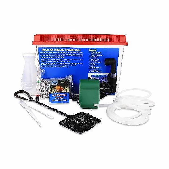 Grosses Urzeitkrebs Komplettset