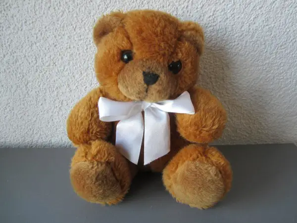  Ours en peluche (env. 16 cm)