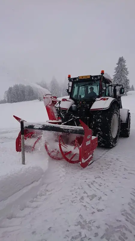 Fraise à neige Pronovost
