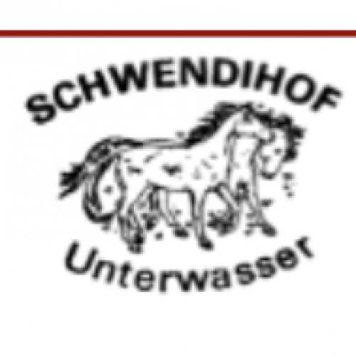 Reitschule Schwendihof GmbH