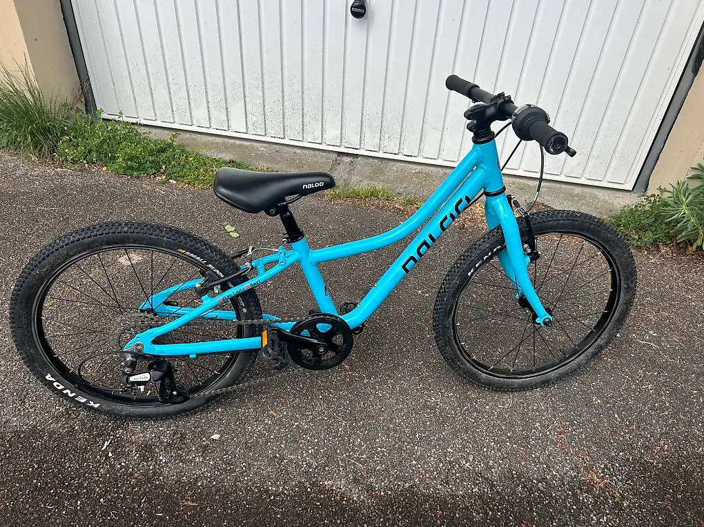 Kindervelo Naloo Chamäleon 20 Zoll