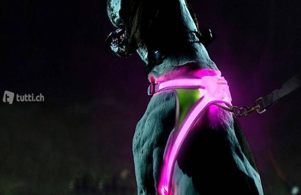  Lighthound Leuchtgeschirr LED