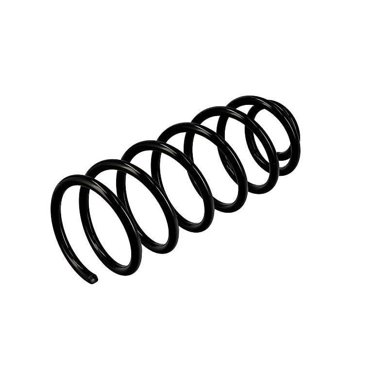 vw bora (1j_) - golf 4 (1j_) original federn r10131