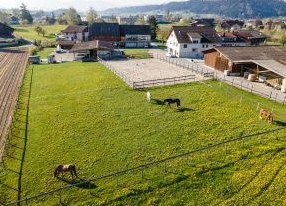 Selbstversorgerplatz in kleinem Privatstall - 6218 Ettiswil LU