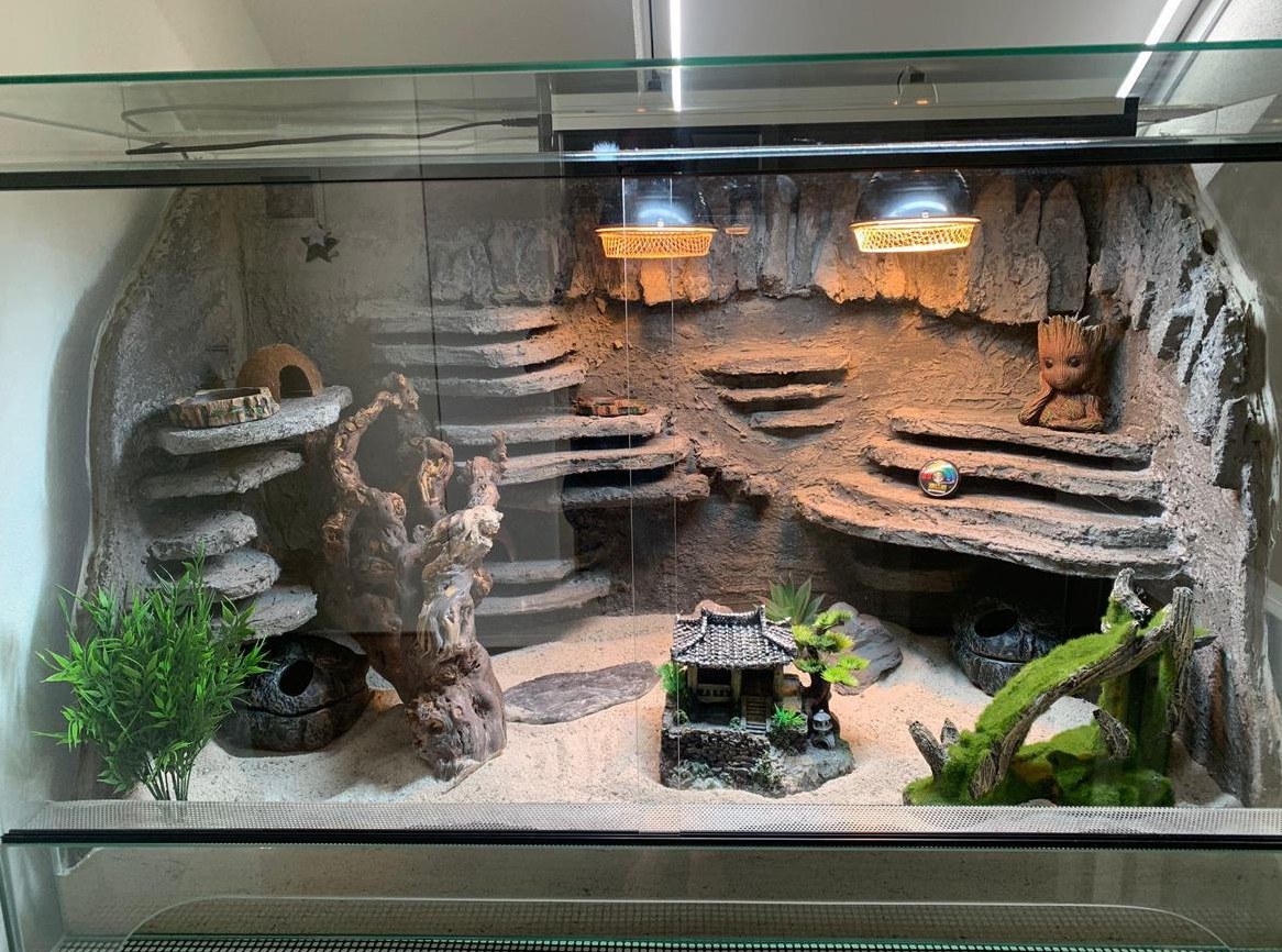 Terrarien Rückwände individuell bauen lassen