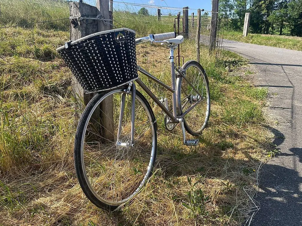 Fahrradkorb und Sattel