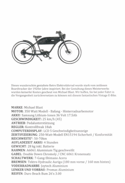 Vintage Electric Bike