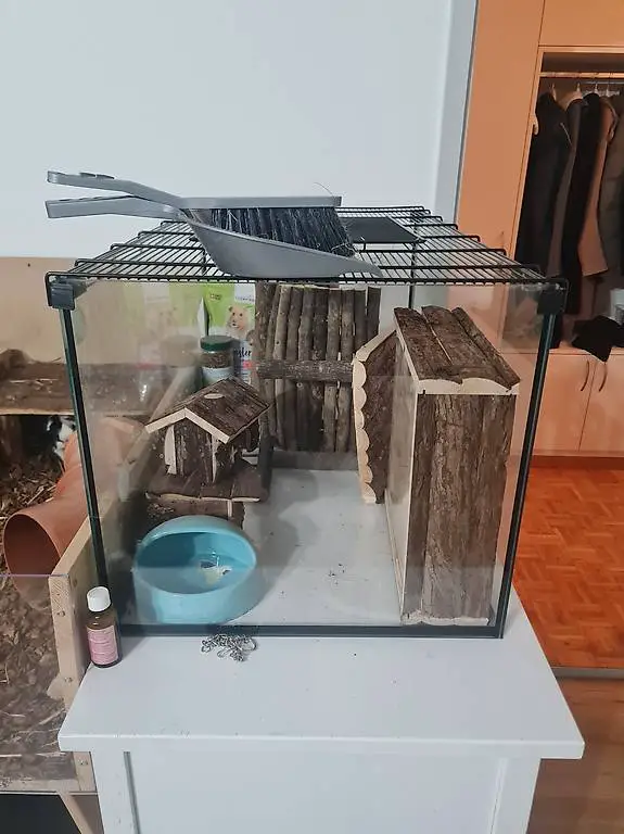 Zwerghamster Gehege mit Inventar