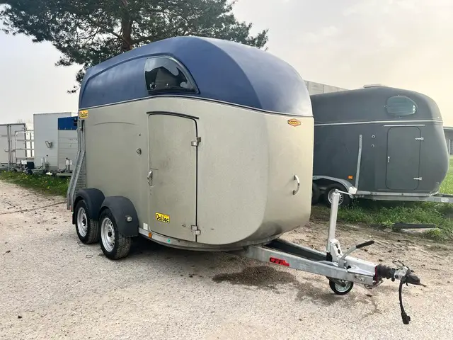 Pferdetransport Böckmann Big Master, Pferdetransporter