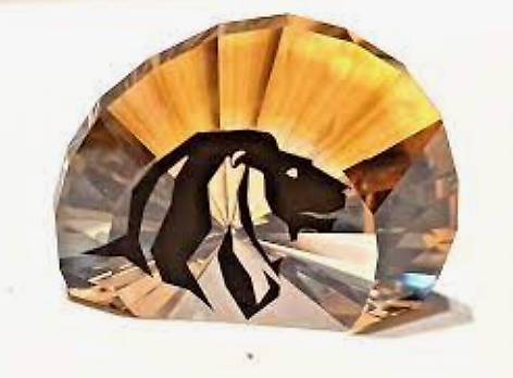 Swarovski SCS Stücke 4 Varianten im Set