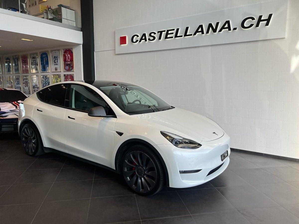 TESLA Model Y Performance