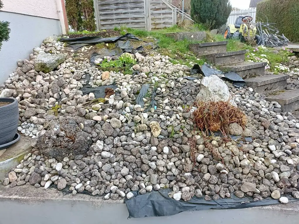 Steine aus Steingarten